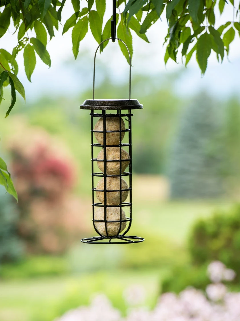 Suet Ball & Feeder Combo Set 3 Suet Ball & Feeder Combo Set