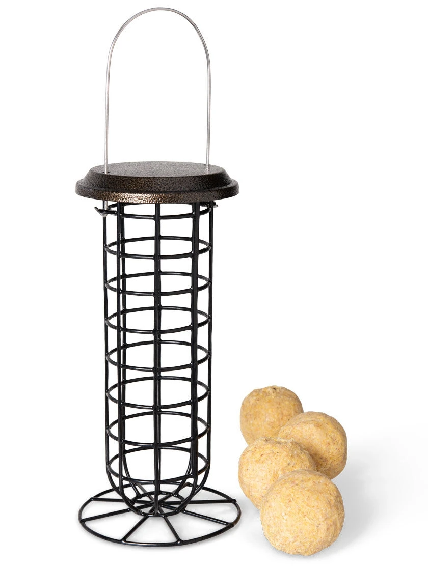 Suet Ball & Feeder Combo Set 4 Suet Ball & Feeder Combo Set - Image 2