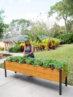 Self-Watering Eco-Stained Elevated Planter Box, 2' X 8' -Garden Care Shop 8608965 6069 tif