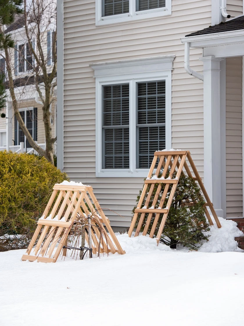 Cedar Shrub Guard 3 Cedar Shrub Guard