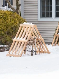 Cedar Shrub Guard 12 Cedar Shrub Guard -Garden Care Shop 8609071 3531 cedar shrub guard