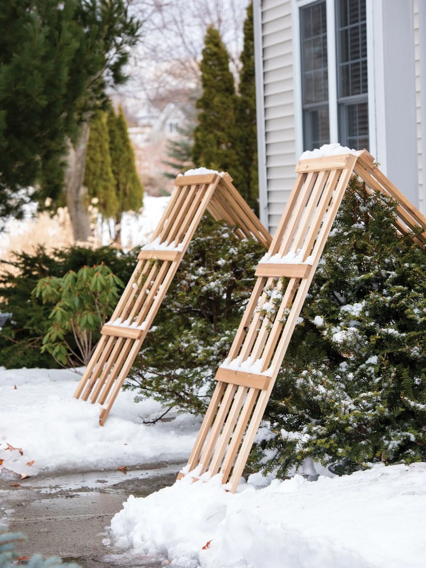 Cedar Shrub Guard 6 Cedar Shrub Guard - Image 4