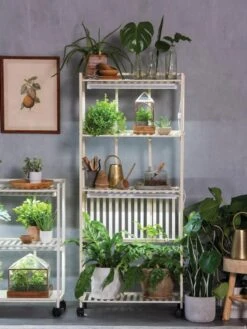 Oslo 4-Tier LED Grow Light Garden 19 Oslo 4-Tier LED Grow Light Garden -Garden Care Shop 8609188 4118 tif