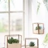 Copper And Glass Terrariums, Set Of 3 -Garden Care Shop 8609212 2964 tif
