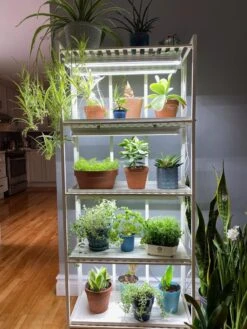 Oslo 4-Tier LED Grow Light Garden 23 Oslo 4-Tier LED Grow Light Garden -Garden Care Shop 8609220 03IN tif