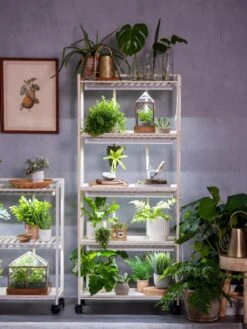 Oslo 4-Tier LED Grow Light Garden 21 Oslo 4-Tier LED Grow Light Garden -Garden Care Shop 8609220 4116 tif