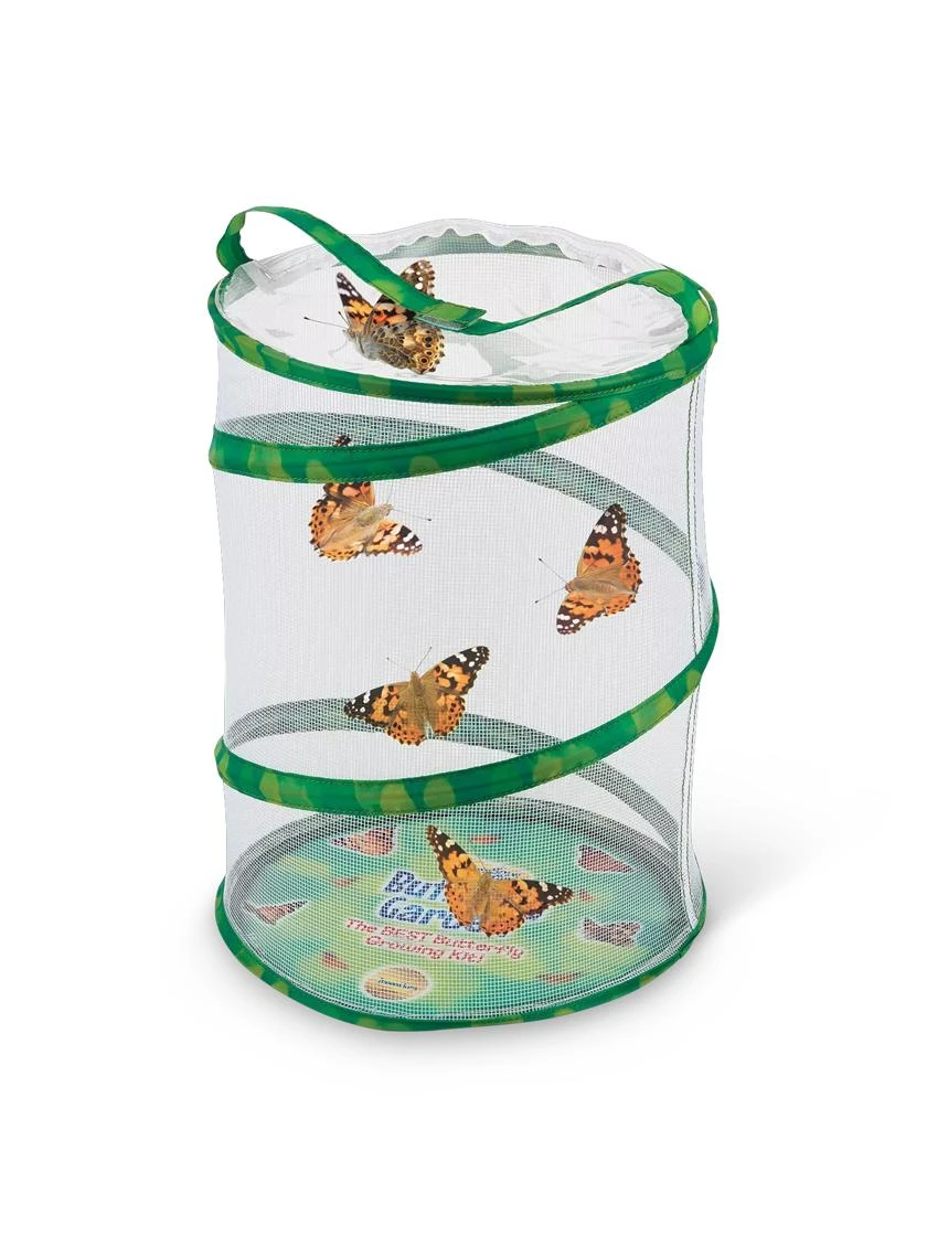 Butterfly Garden® Kit With Voucher 4 Butterfly Garden® Kit With Voucher - Image 2