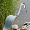 Florida Dancing Birds®, Great Blue Heron -Garden Care Shop 8609451 02V jpg