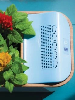 Dewplanter -Garden Care Shop 8609512 Dewplanter