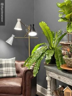 Adjustable 3-Arm Grow Lamp -Garden Care Shop 8609868 01IN tif