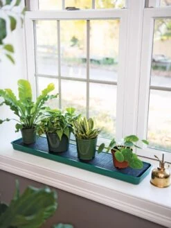 Self-Watering Windowsill Tray -Garden Care Shop 8609873 9011 tif