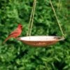 Copper Hanging Birdbath 1 Copper Hanging Birdbath -Garden Care Shop 8609880 02V copper hanging birdbath