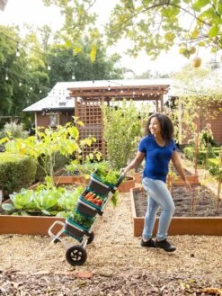 Mod Hod Trolley With Teal Mod Hods 9 Mod Hod Trolley With Teal Mod Hods -Garden Care Shop 8610240 0070 tif