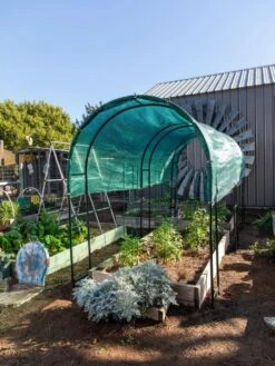 Maxi Garden Hoops With Clips -Garden Care Shop 8610372 8442 tif