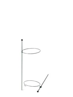 Peacock Mini Plant Support Rings 8", Set Of 2 14 Peacock Mini Plant Support Rings 8", Set Of 2 -Garden Care Shop 8610387 9571 tif