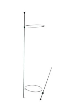 Peacock Mini Plant Support Rings 8", Set Of 2 15 Peacock Mini Plant Support Rings 8", Set Of 2 -Garden Care Shop 8610388 9565 tif