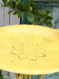 Vintage Floral Birdbath 7 Vintage Floral Birdbath -Garden Care Shop 8610559 02V JPG