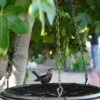 Floral Motif Hanging Birdbath 1 Floral Motif Hanging Birdbath -Garden Care Shop 8610562 02v twin bird floral hanging birdbath