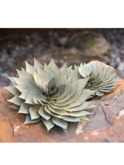 Desert Steel Spiral Aloe Sculpture -Garden Care Shop 8610749 03v