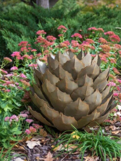 Desert Steel Artichoke Agave Sculpture 11 Desert Steel Artichoke Agave Sculpture -Garden Care Shop 8610761 03v