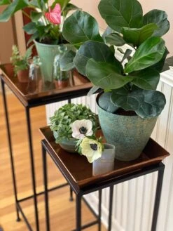 Square Nesting Plant Stands With Trays, Set Of 2 -Garden Care Shop 8611014 3651 tif