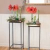 Square Nesting Plant Stands With Trays, Set Of 2 -Garden Care Shop 8611014 3660 tif
