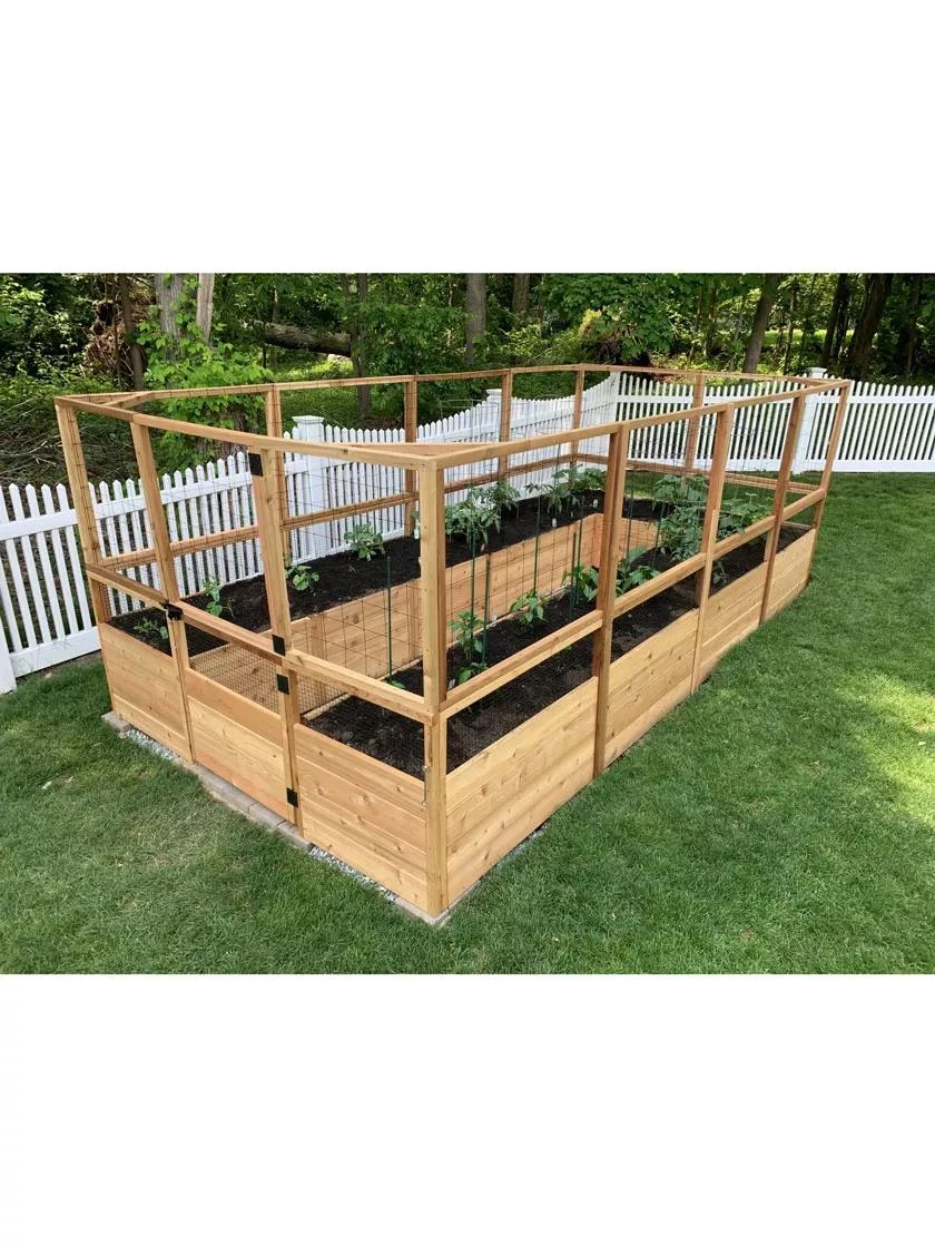 Garden In A Box With Deer Fence, 8' X 16' 3 Garden In A Box With Deer Fence, 8' X 16'