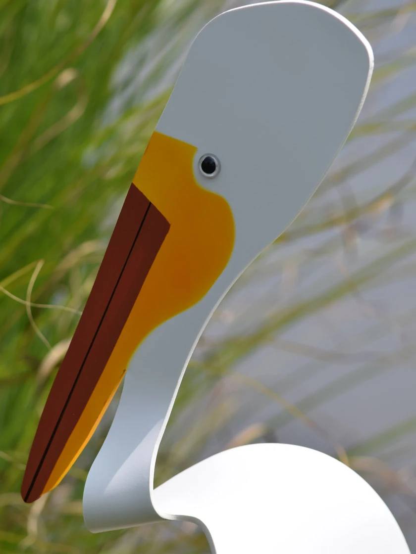 Florida Dancing Birds®, American White Pelican 3 Florida Dancing Birds®, American White Pelican