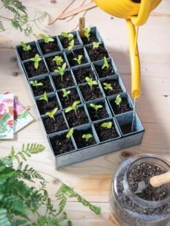 Self-Watering Galvanized Seed Starting Tray -Garden Care Shop 8611714 030 tif