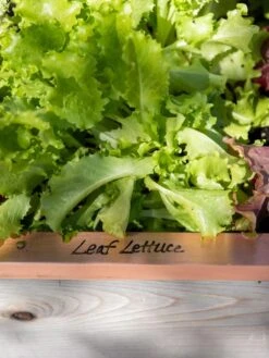 Re-Markable Raised Bed Trim 12 Re-Markable Raised Bed Trim -Garden Care Shop 8611757 326 tif