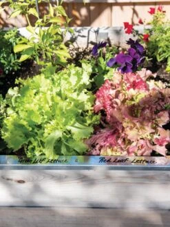 Re-Markable Raised Bed Trim 13 Re-Markable Raised Bed Trim -Garden Care Shop 8611758 306 tif