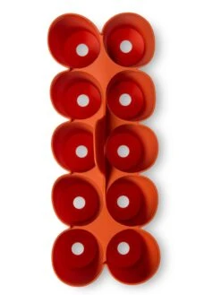 Sili-Seedlings® Seedling Tray, 10-Cell 12 Sili-Seedlings® Seedling Tray, 10-Cell -Garden Care Shop 8611886 3821 tif