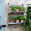 VegTrug® Herb Rack -Garden Care Shop 8611930 6402 tif