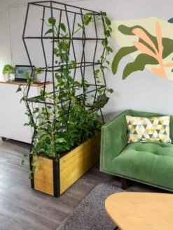 Self-Watering Partition Planter -Garden Care Shop 8611952 001 tif