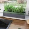Provence Self-Watering Herb Planter -Garden Care Shop 8611965 01V tif