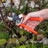 Castellari B12 Double-Blade Pruner -Garden Care Shop 8611973 098 tif