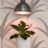 Florabooster® LUM 500-Z LED Plant Light -Garden Care Shop 8612017 083 florabooster led plant light