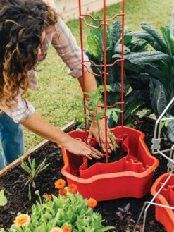 Deluxe Tomato Halos, Set Of 2 -Garden Care Shop 8612045 135 tif