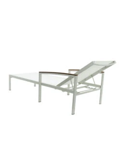 Braylee Reclining Chaise Lounge -Garden Care Shop 8612262 06v