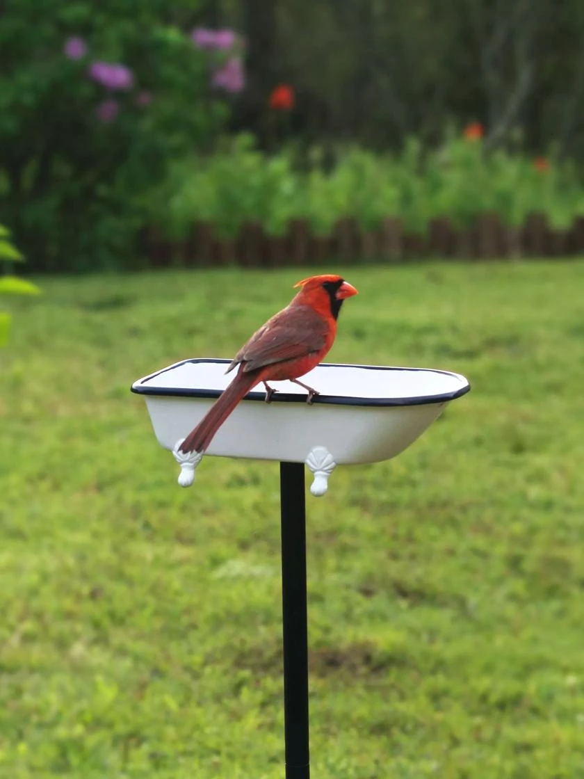 White Enamel Bathtub Birdbath 3 White Enamel Bathtub Birdbath