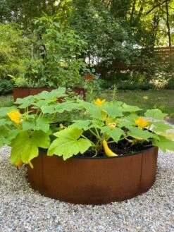 Birdies™ Corten Steel Round Raised Beds 11 Birdies™ Corten Steel Round Raised Beds -Garden Care Shop 8612422 0484 tif