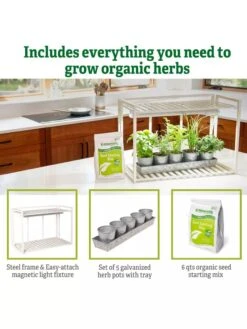 Tabletop Grow Kit -Garden Care Shop 8612507 6