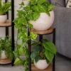 Double Tower Plant Stand 1 Double Tower Plant Stand -Garden Care Shop 8612683 2228 double tower plant stand