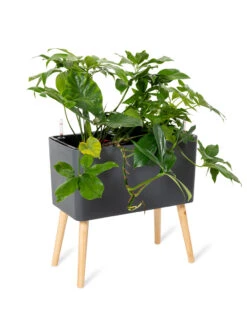 Ava Self-Watering Rectangular Planter 14 Ava Self-Watering Rectangular Planter -Garden Care Shop 8612691 0013