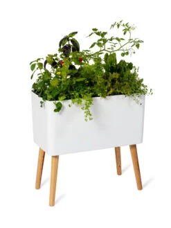 Ava Self-Watering Rectangular Planter 15 Ava Self-Watering Rectangular Planter -Garden Care Shop 8612691 0014