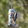 Suet Ball Feeder