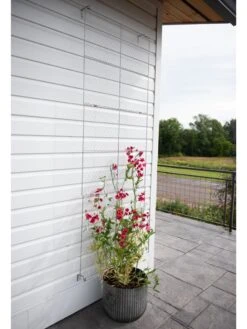 Chicken Wire Wall Trellis -Garden Care Shop 8612717 0081