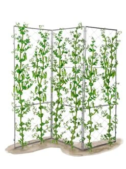 Chicken Wire Pea Trellis -Garden Care Shop 8612718 peatrellis art chicken wire pea trellis