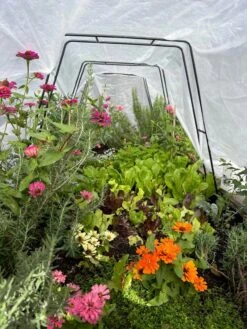 Zenith Garden Hoops, Set Of 4 -Garden Care Shop 8612816 01TEST 1