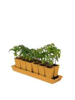 Gardener's Best® XL Seed Starting Kit -Garden Care Shop 8613066 1029